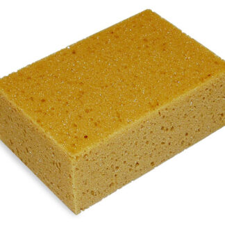 Laatanpesusieni Vuorio 4212